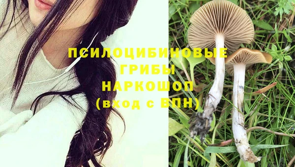герыч Няндома