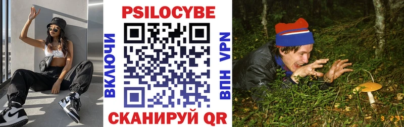 Галлюциногенные грибы Psilocybine cubensis  Кущёвская 