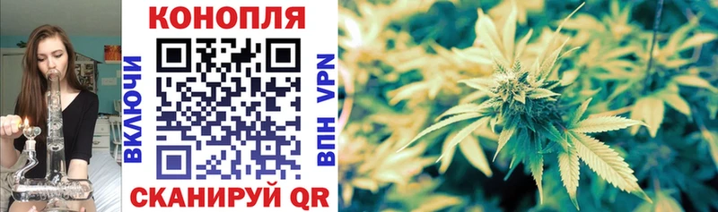 darknet наркотические препараты  Кущёвская  Марихуана MAZAR 